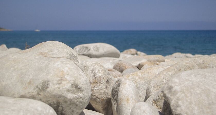 Alpha Stegna Sun