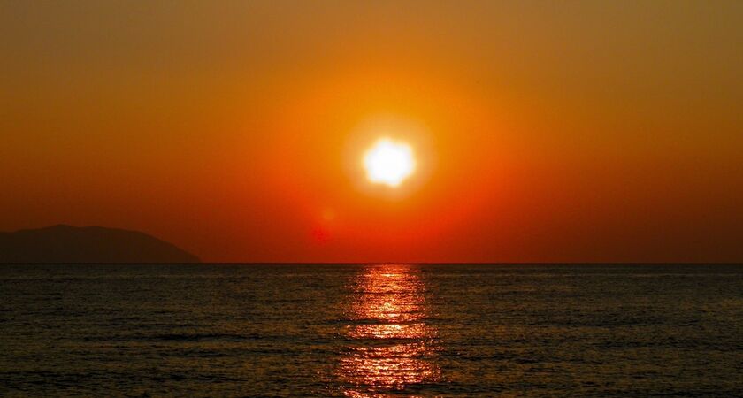 Alpha Stegna Sun