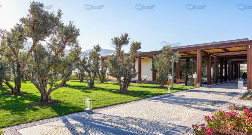 Voyage Torba