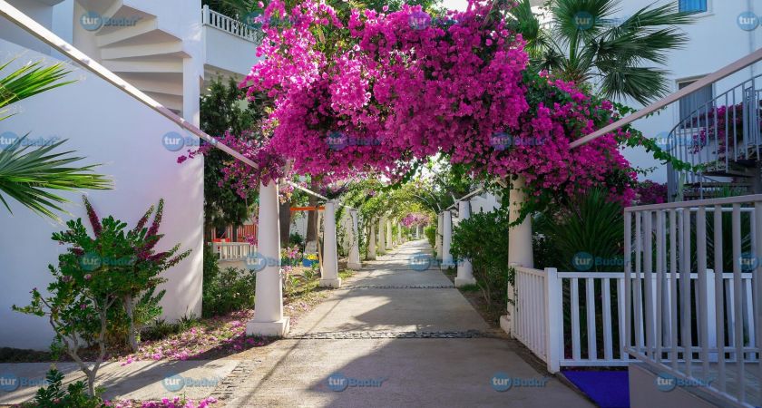 Bendis Beach Hotel