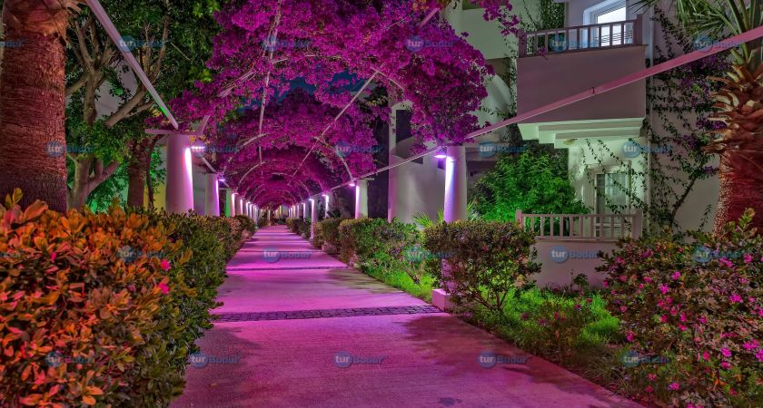 Bendis Beach Hotel