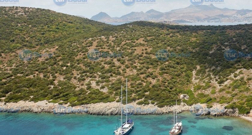 Orak Adası