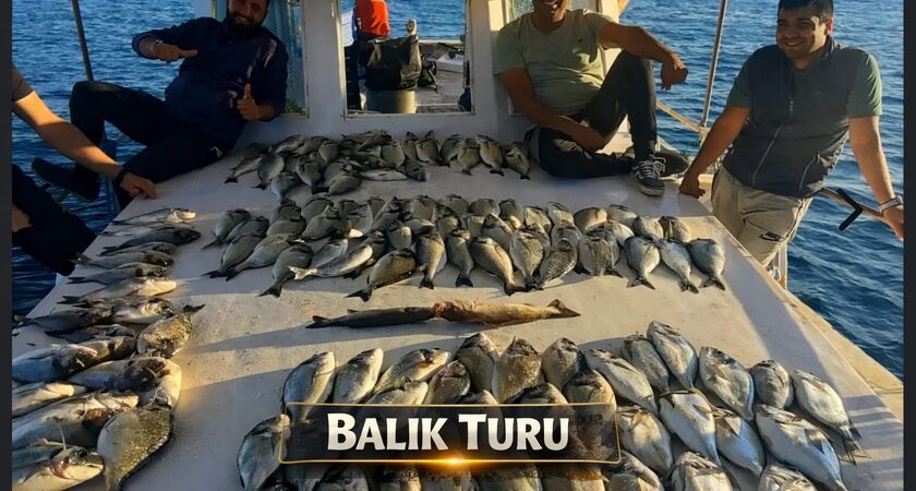 Balık Turu 